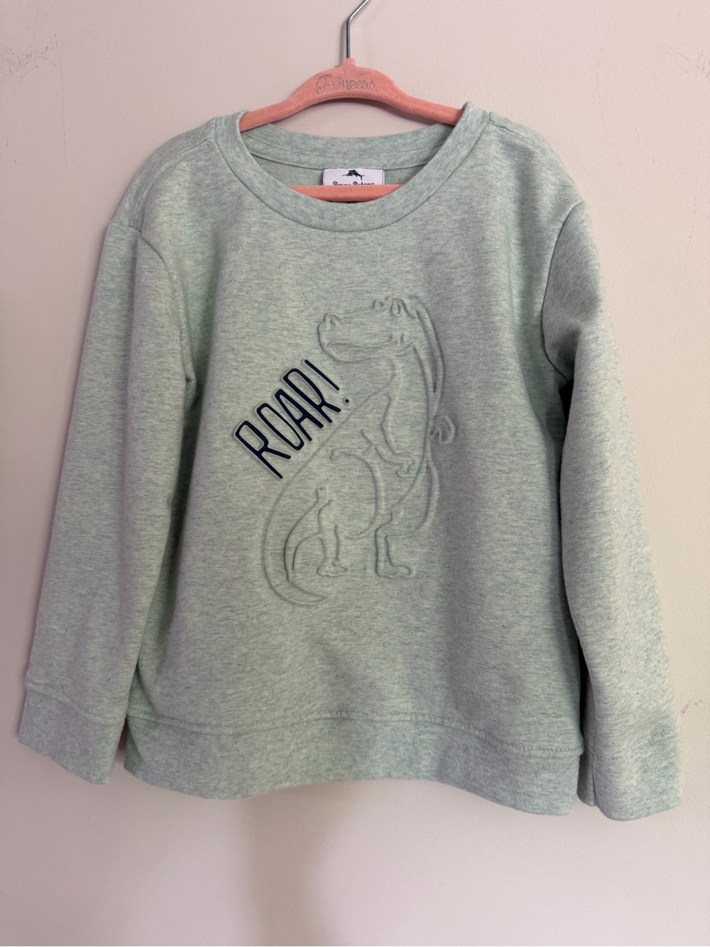 Tommy Bahama Mint Green Dinosaur Sweatshirt 5T